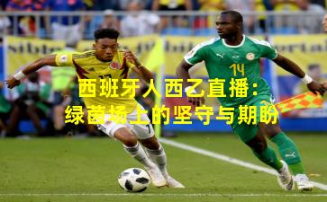 西班牙人西乙直播：绿茵场上的坚守与期盼