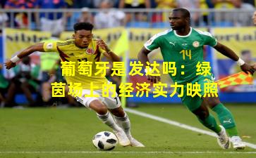 葡萄牙是发达吗：绿茵场上的经济实力映照